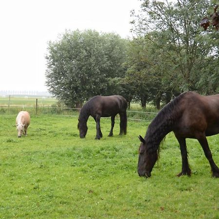Apartment Het Friesche Paard Purmer Eksteriør bilde