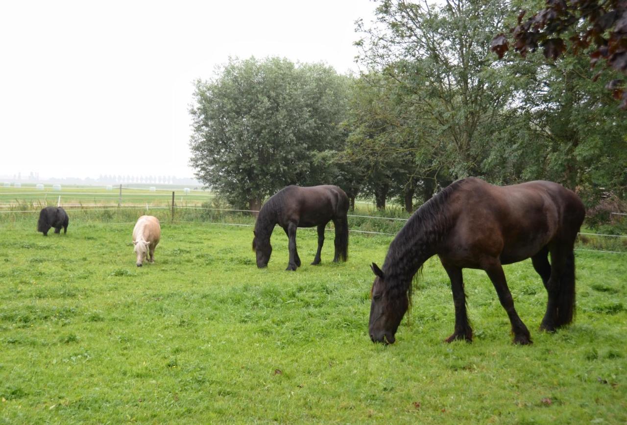 Apartment Het Friesche Paard Purmer Eksteriør bilde