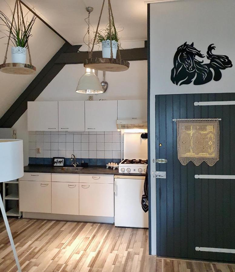 Apartment Het Friesche Paard Purmer Eksteriør bilde